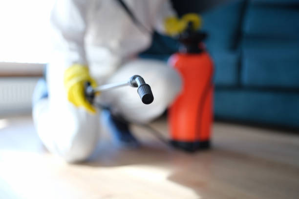 Environmental Consulting for Mold Prevention in Totowa, NJ